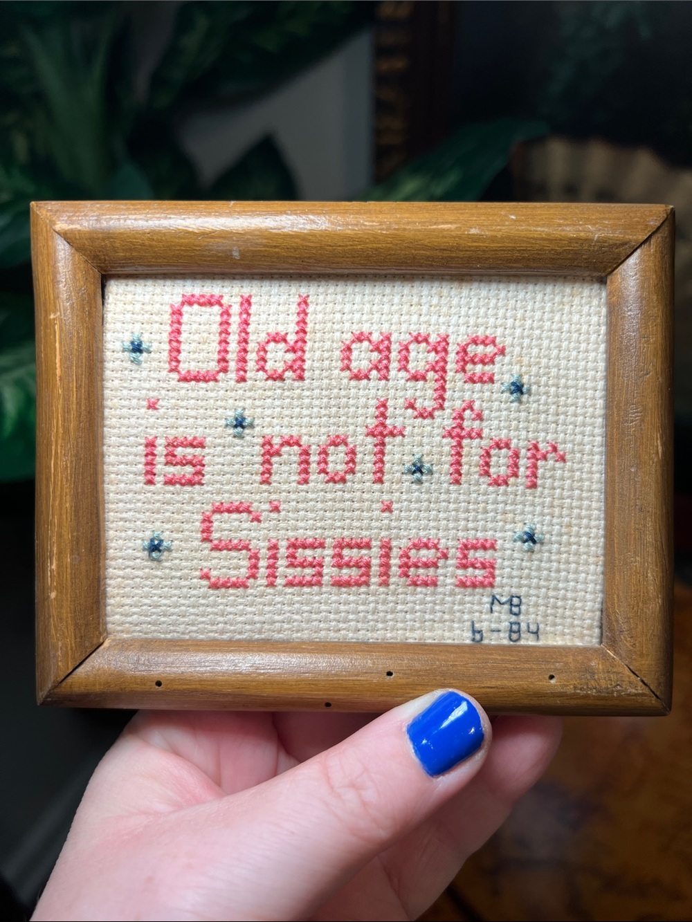 Vintage Needlepoint Cross Stitch “Old Age Is Not For Sissies” Framed Wall Art
